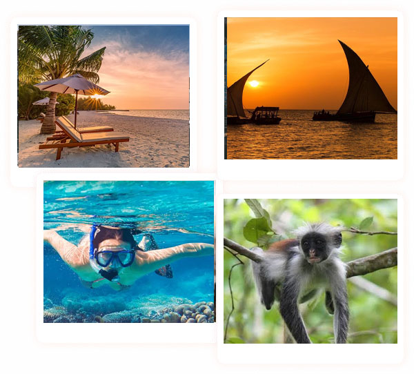 travel-image